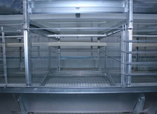 Layer Cage Systems Water Drinking System