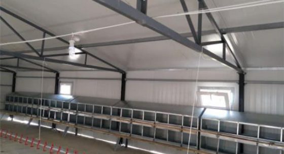 Prefabricated Poultry Houses